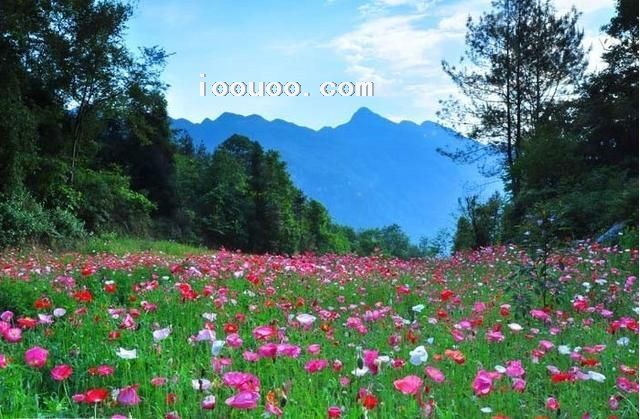 四川绵阳药王谷景区风土人情